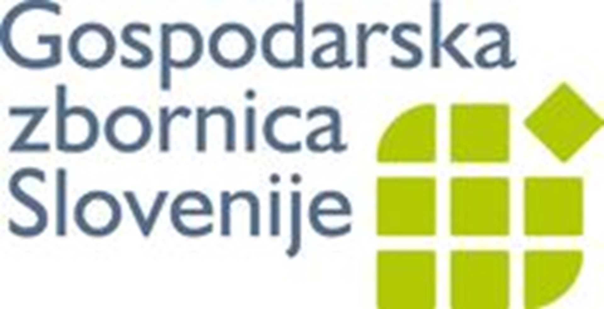 Gospodarska komora Slovenije GZS
