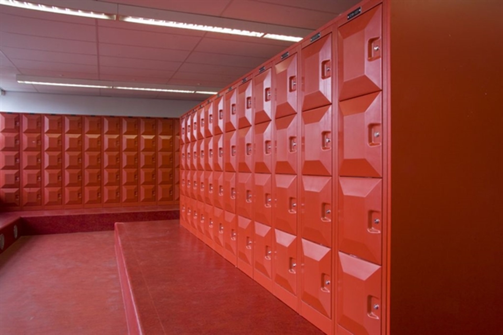 Example of the P model compartment locker